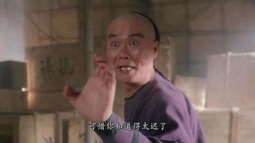 黄飞鸿之铁鸡斗蜈蚣,传奇武术对决,揭秘铁鸡神功之谜 第3张 黄飞鸿之铁鸡斗蜈蚣,传奇武术对决,揭秘铁鸡神功之谜 第3张