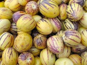 西游记之暗黑人参果,西游记中的神秘果实与命运之谜  第2张