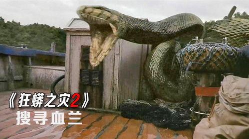 疯狂兰蛇 第2张 疯狂兰蛇 第2张